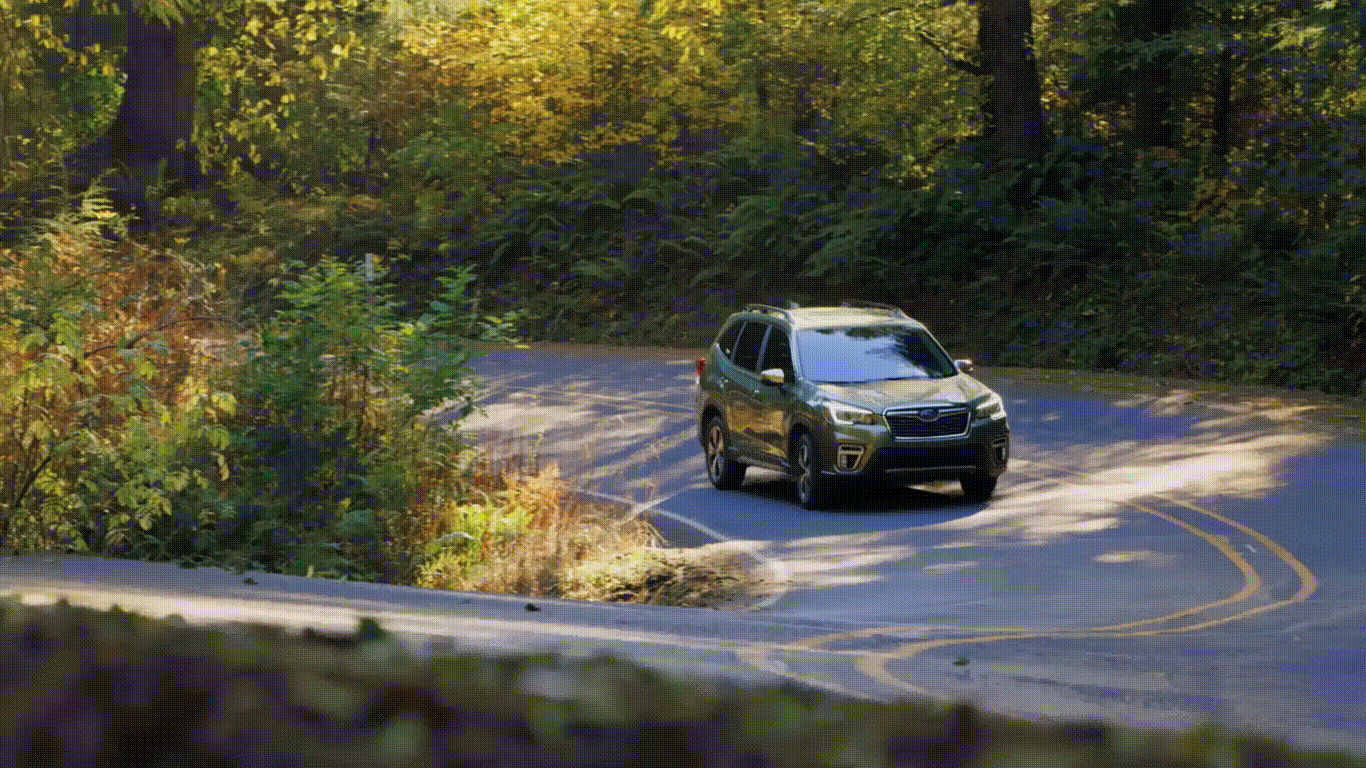 New 2019  Subaru  Forester  Fayetteville  AR  | 2019  Subaru  Forester sales  AR 